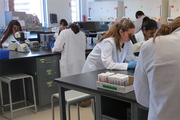 students at microscopes